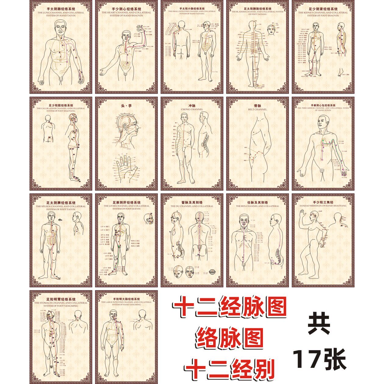 人体经络图 十二经脉图络脉图十二经别 奇经八脉墙贴海报挂图