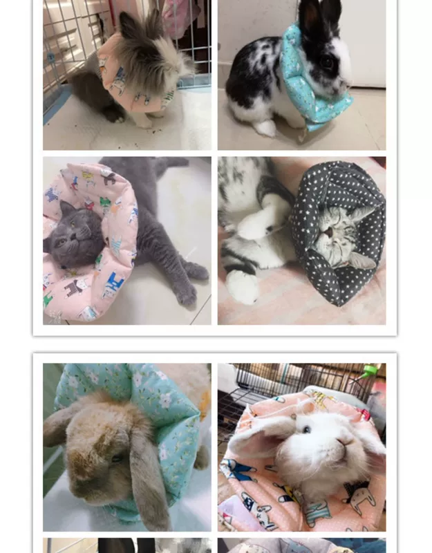 Tùy chỉnh Elizabeth Circle Mèo Bunny Hà Lan Lợn Chinchilla Hedgekey Cổ áo mềm Xấu hổ Vòng tròn Chống cắn Đầu che - Cat / Dog hàng ngày Neccessities Khay thức ăn cho mèo