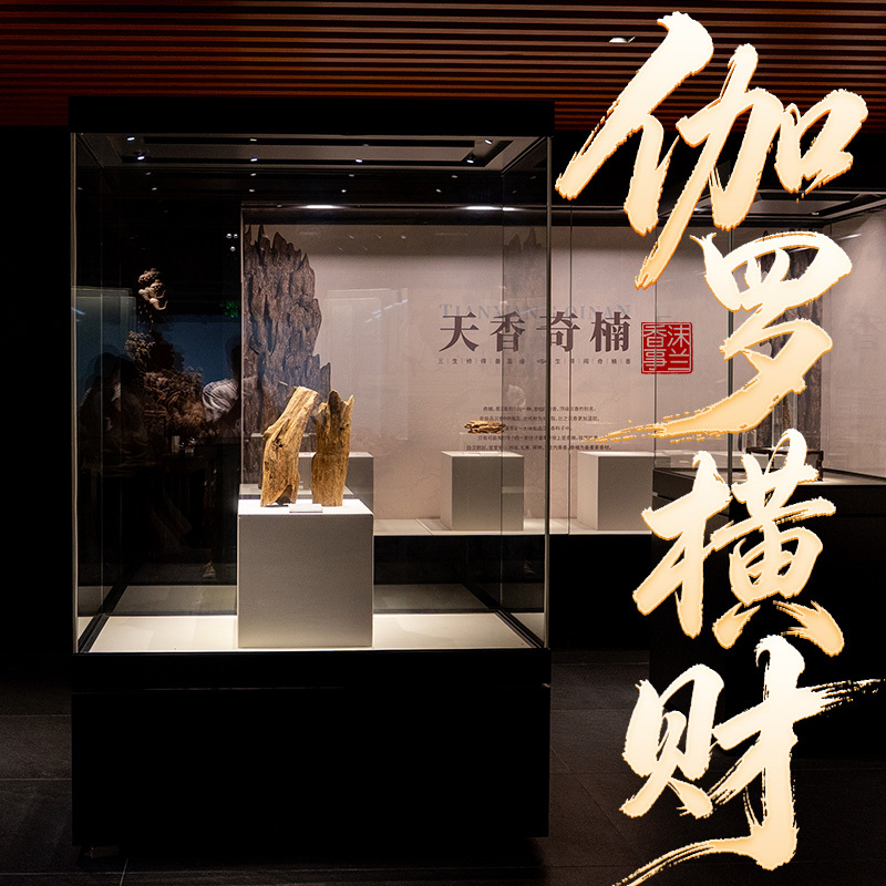 New Product Launch on October 26Th: [Garo Wealth Agarwood Crowdfunding] Mo Lan Selection Premium Black Agarwood Material