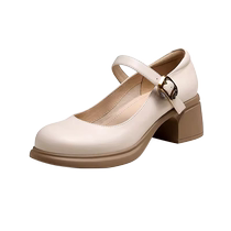 Camel Outdoor Shoes Womens Shoes 2024 Autumn New Shallow Mouth Increased Retro Mary Jane Shoes Womens Thick Heels French Medium Heels