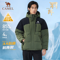(Exclusive to Good Things Experience) Camel Outdoor Down Jacket Winter New Style for Men and Women Water-Repellent Scratch-Resistant and Wear-Resistant Hooded