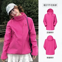 [Новый продукт одиночный насос] Purple Rose Red, Женская модель (стройная) A25BA45081