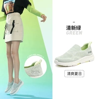 F24B304077, светло -зеленый/серый