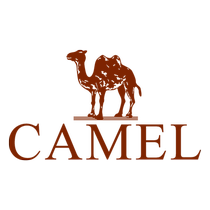 Himalayan series camel outdoor mens three-in-one hard shell ski jacket waterproof warm down liner jacket