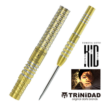 TRINIDAD Goto Tomomi PDC limited edition gold 23g hard 19g soft tungsten steel darts titanium plated darts