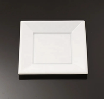 10 10-inch 23CM disposable plastic square plate food grade white desserts pan fruit snacks parquet 12