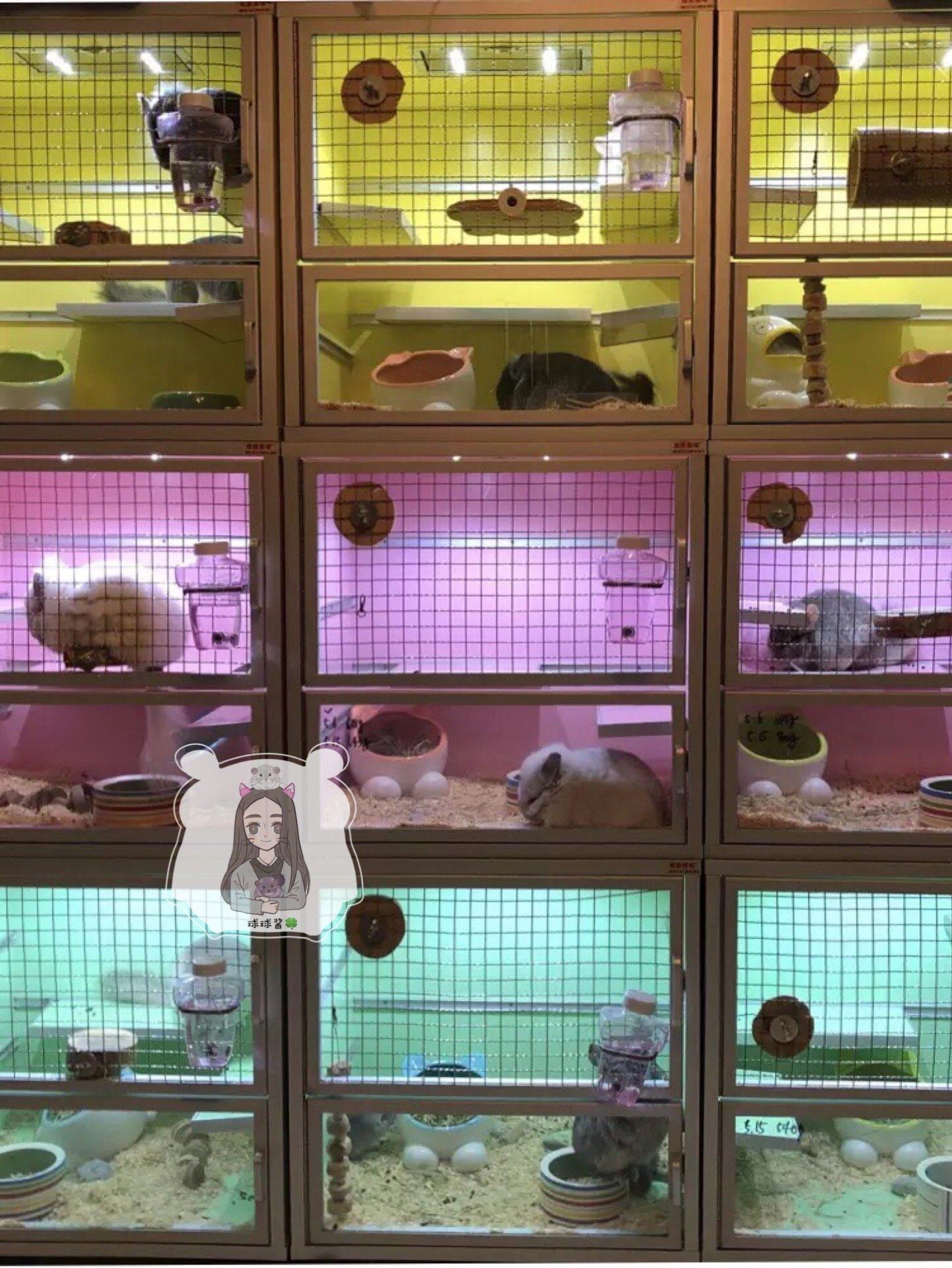 Freight price difference