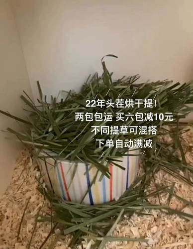 Шаровой соус の 24 года первой стерни Шао Суй высухал, высушен и сушена северного титани Тимо Сима