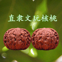 南疆石核桃文玩-南疆石核桃文玩促销价格、南疆石核桃文玩品牌- 淘宝
