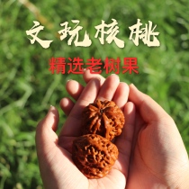 Wen play walnuts A pair of hand plates Hand play boutique lion head official hat four buildings Southern Xinjiang stone apple garden stuffy white lion