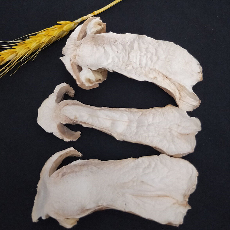 香格里拉松茸干货500g:煲汤必备,不开伞嫩菇的山珍盛宴!-松茸-淘宝百科网