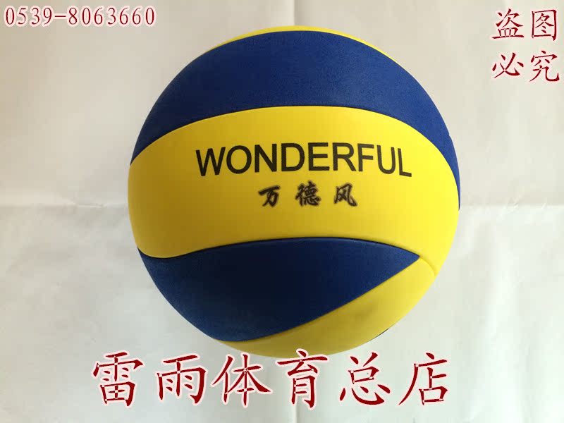 Ballon de volley - Ref 2009753 Image 4