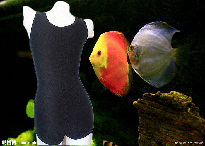 Sous-vêtement minceur - Ref 709238 Image 68