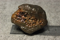 Cihai Mudstone Cihai Mudstone Early Modeling Mudstone Ripe Mudstone Xinjiang Hami #32 White Colored Jade Flower