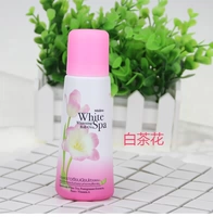 Белая камелия