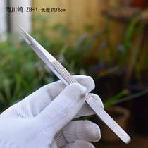 Sea Kawasaki ZB-1 Jewelry Tweezers Precision Tweezers Stainless Steel Tweezers Clip with Tooth Tweezers