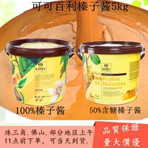  French cocoa Baise hazelnut sauce 50% 100% cocoa thyme intense hazelnut sauce 5kg barrels