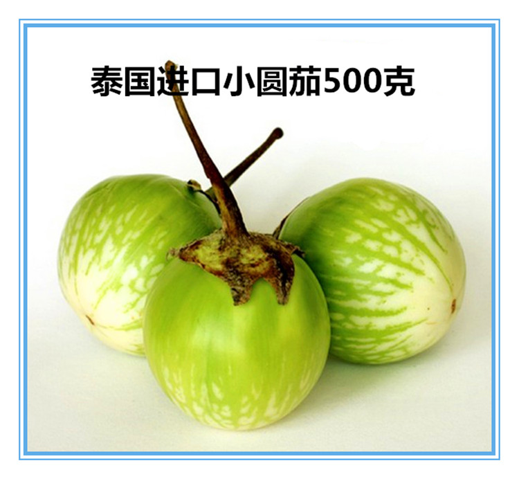 Thai Imported Round Eggplant Tetomato Small Round Eggplant Fresh Round Eggplant Curry Eggplant 500g