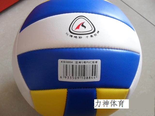 Ballon de volley-ball - Ref 2012838 Image 4