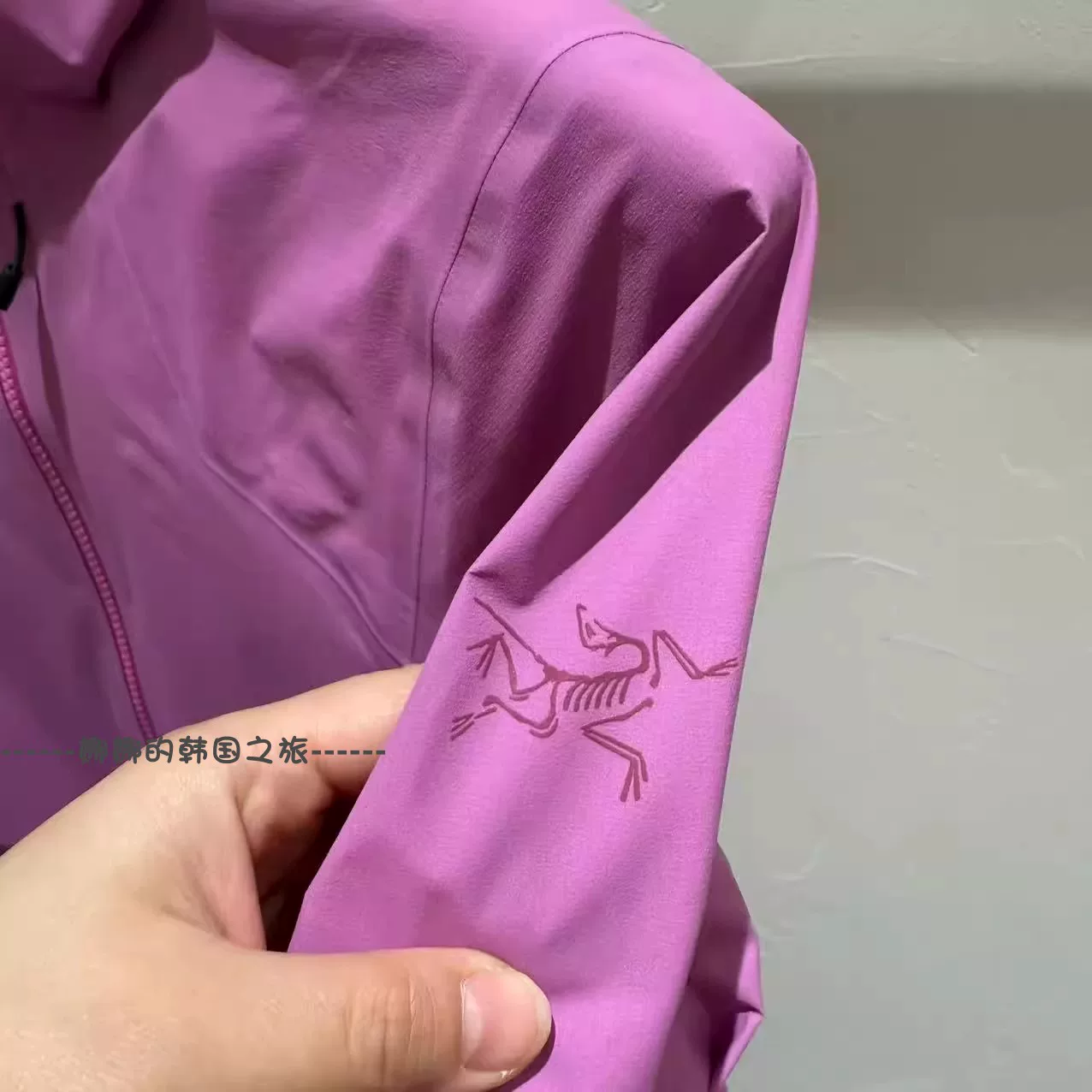 [ARC'TERYX женская Coelle jacket ветрозащитная куртка X9466]