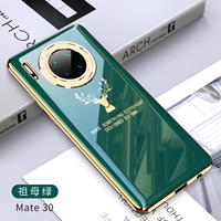Huawei Mate30 [Emerald]+Дисциплинарный фильм