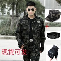 Spring and autumn camouflan suit mens pure cotton thickened reinforced military camouflan wear wear-wear training Raubao workwear big code