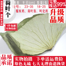 Whole piece of dried lotus leaf 500g 1 piece of lotus leaf porridge rice made glutinous rice chicken called whole chicken soaked in water fresh dry