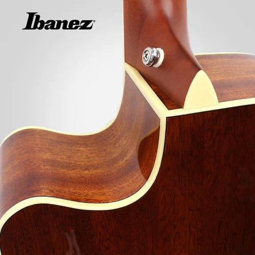 Ibanez Yibana Min Ballad Guitar AW100 AW120Z 41 -INCH