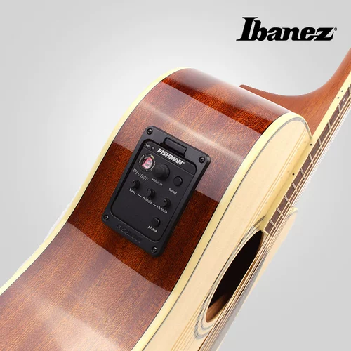 Ibanez Yibana Min Ballad Guitar AW100 AW120Z 41 -INCH