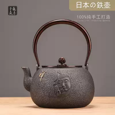 Longshantang iron pot Japan original imported cast iron Southern teapot handmade household non-coated kettle