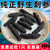  Turkish sea cucumber Imported rice thorn ginseng light dried sea cucumber dry goods Wild 500g Icelandic sea raw small sea cucumber can be gift box