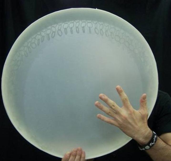 Turkish instrument Daf drum Erbane drum Bendir drum Persian frame drum Arabic drum Middle East drum