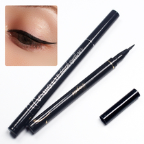 Special eyeliner black hard and soft head waterproof and anti-smudge female makeup does not bleach beginner net red lazy makeup