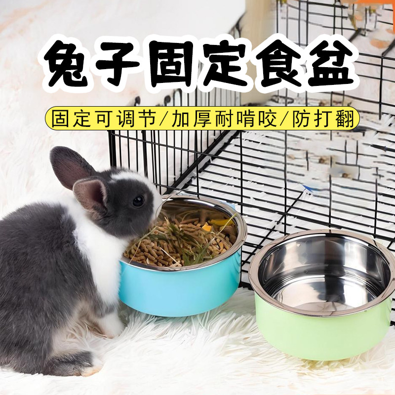 A must-have for 25 years! this hanging rabbit food bowl is a game ...