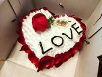 Birthday cake reservation in the same city express Putian City Licheng Chengxiang Hanjiang District Xiuyu Xianyu Xianyou Free delivery to the door