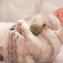 Kota Kota original kitten universal mint lollipop fitness ball wood Tianli cat grass cat toy molar stick