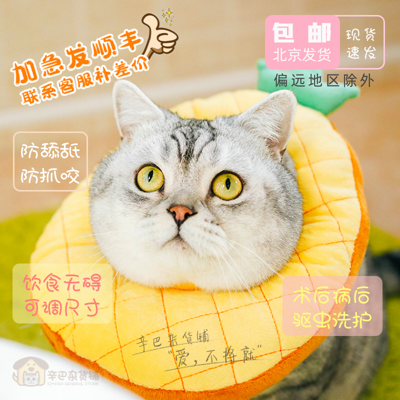Universal Pet Neuter Elizabeth Circle Surgery Item Circle Anti-lick Kitty Dog Neck Collar Adjustable