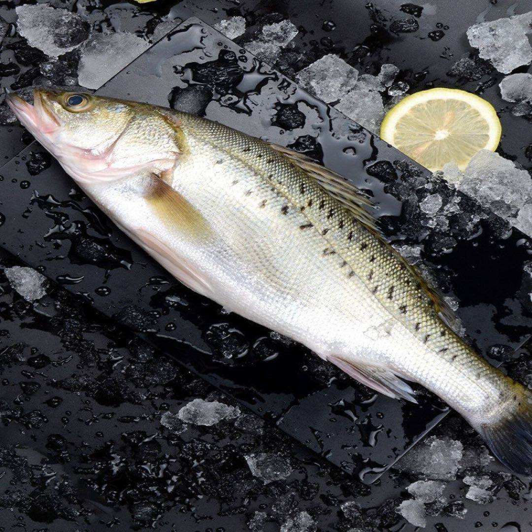 Sea bass seafish fresh fresh fresh deep seafish fresh seafood seafood seafood seafood 3 5 pounds