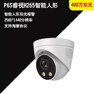 P6S rui shi H265 4 million humanoid audio dual hemisphere network surveillance cameras compatible Kang protocol