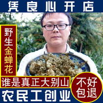 Dabie Mountain wild cicada flower 250g New premium bamboo forest cicada flower Zhizihua cordyceps powder non-500g