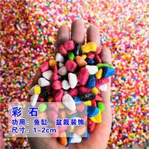 (Gift) Color stone five flowers stone small white stone fish tank decorative bottom sand flower pot meat shop Stone