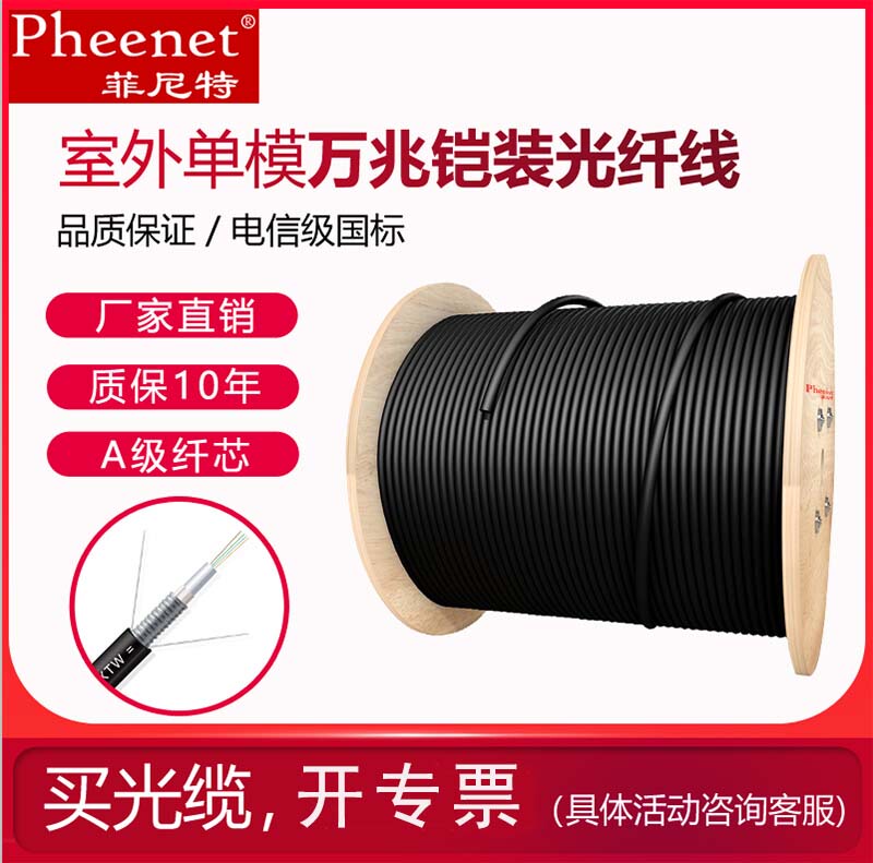 Fenite Outdoor Fiber Optic Cable Single-Mode 10g Armored Fiber Optic Cable 4-Core 6-Core 8-Core 12-Core 16-Core 24-Core Telecom-Grade National Standard Gyxtw-4B1.3 Center Tube