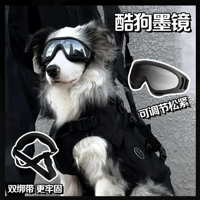 Meteorite Border Collie Dog Goggles Windproof Uv Protection Headwear Sunglasses Large Sunglasses Pet Ski Glasses
