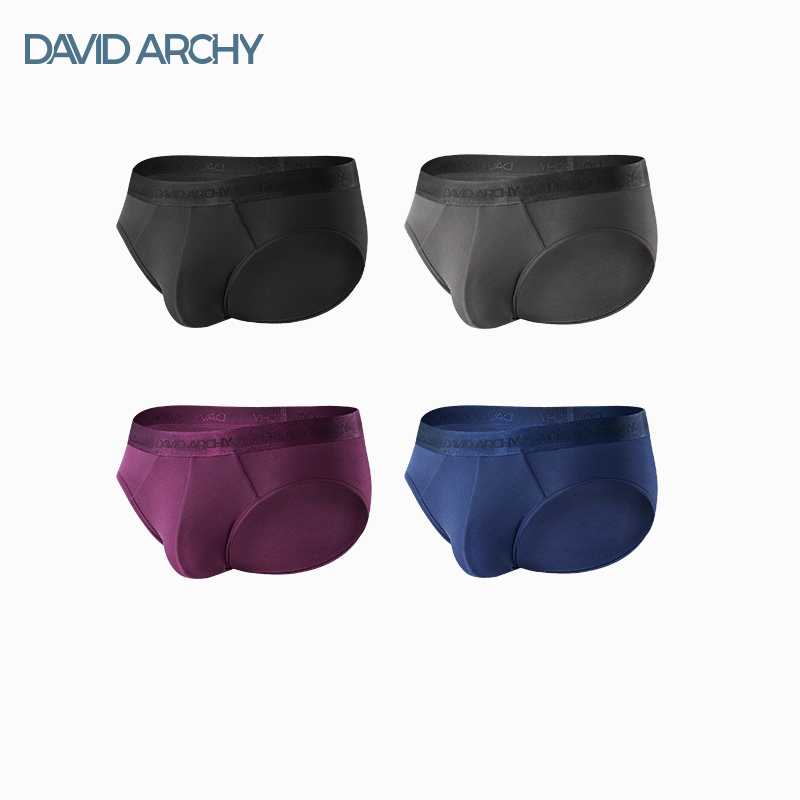David Archy Men's Briefs Modal Ice Silk Breathable Bullet-Shaped Large Pouch Gift for Husband
