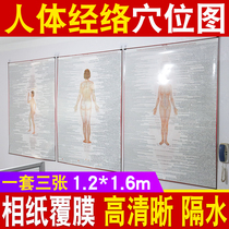 Body Meridians Acupoints Map Large Wall Body High Definition Acupoints Chinese Medicine Moxibustion Pushback Massage Acupuncture Domestic Posters