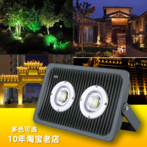 LED flood light outdoor waterproof projection light explosion-proof light color landscape light tree light high power flood light