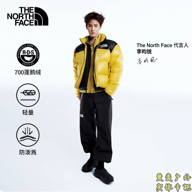[Same Style as Li Yunrui] the North Face New Icon Double-Sided Goose down Jacket for Men Thenorthface | 8Kbu