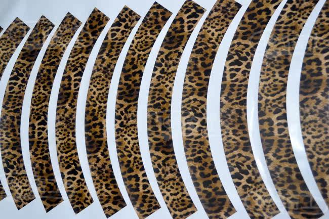 Sticker pour vélos - Ref 2281424 Image 5