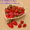 Simulation fruit and vegetable model Fruit shop overall cabinet decoration Early education photography sketching props Plastic strawberry