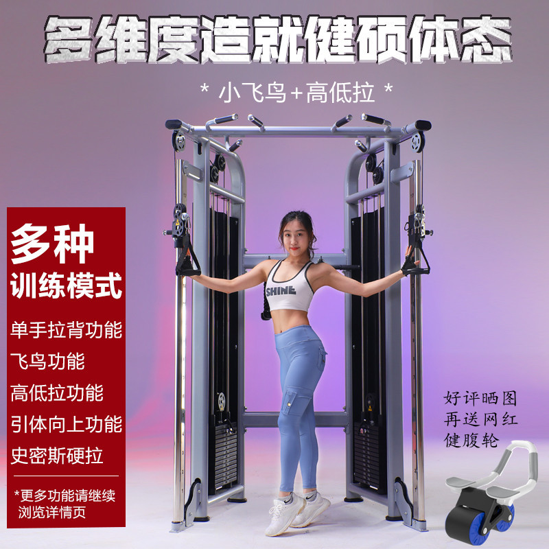 Commercial Small Bird-Of-Prey Gantry Comprehensive Training Device, Professional Stainless Steel Weighted Multi-Functional Home Single-Person Strength Equipment